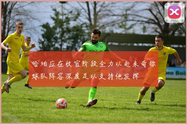 哈珀应在收官阶段全力以赴米奇称球队阵容深度足以支持他发挥