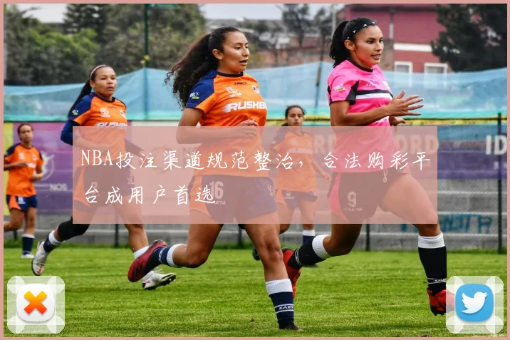 NBA投注渠道规范整治,合法购彩平台成用户首选