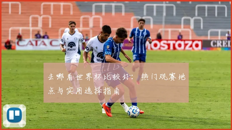 去哪看世界杯比较好:热门观赛地点与实用选择指南