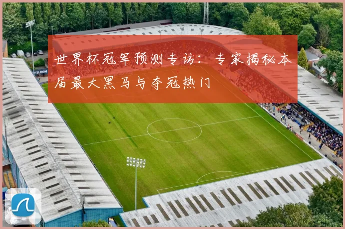 世界杯冠军预测专访：专家揭秘本届最大黑马与夺冠热门