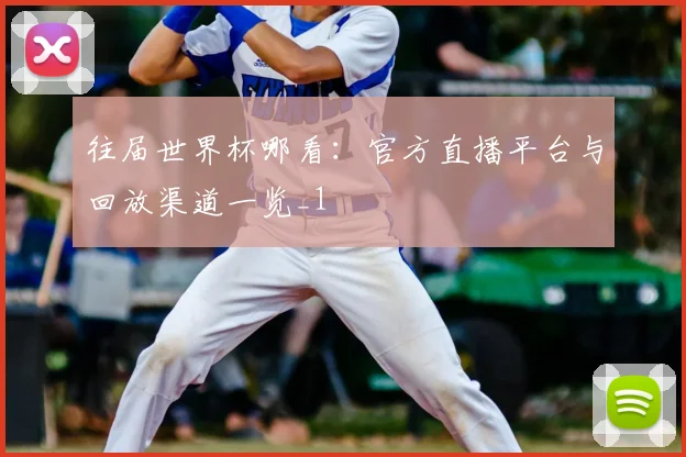 往届世界杯哪看：官方直播平台与回放渠道一览_1