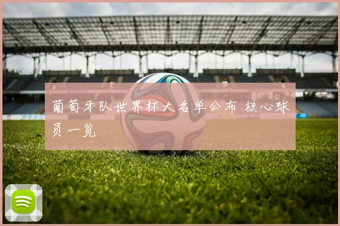 葡萄牙队世界杯大名单公布 核心球员一览
