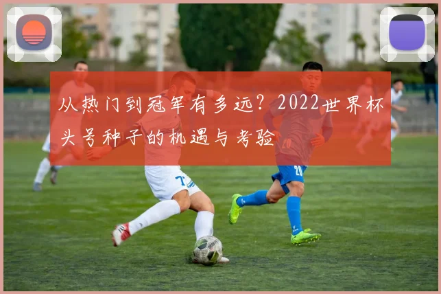 从热门到冠军有多远？2022世界杯头号种子的机遇与考验