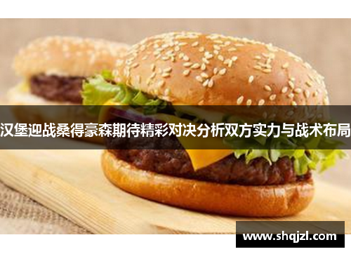 汉堡迎战桑得豪森期待精彩对决分析双方实力与战术布局