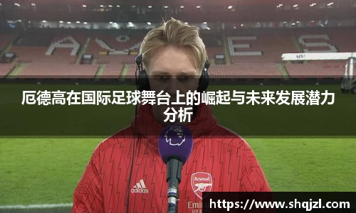 乐虎lehu官方网站